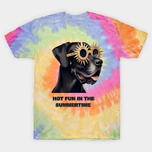 Hot Fun In The Summertime T-Shirt